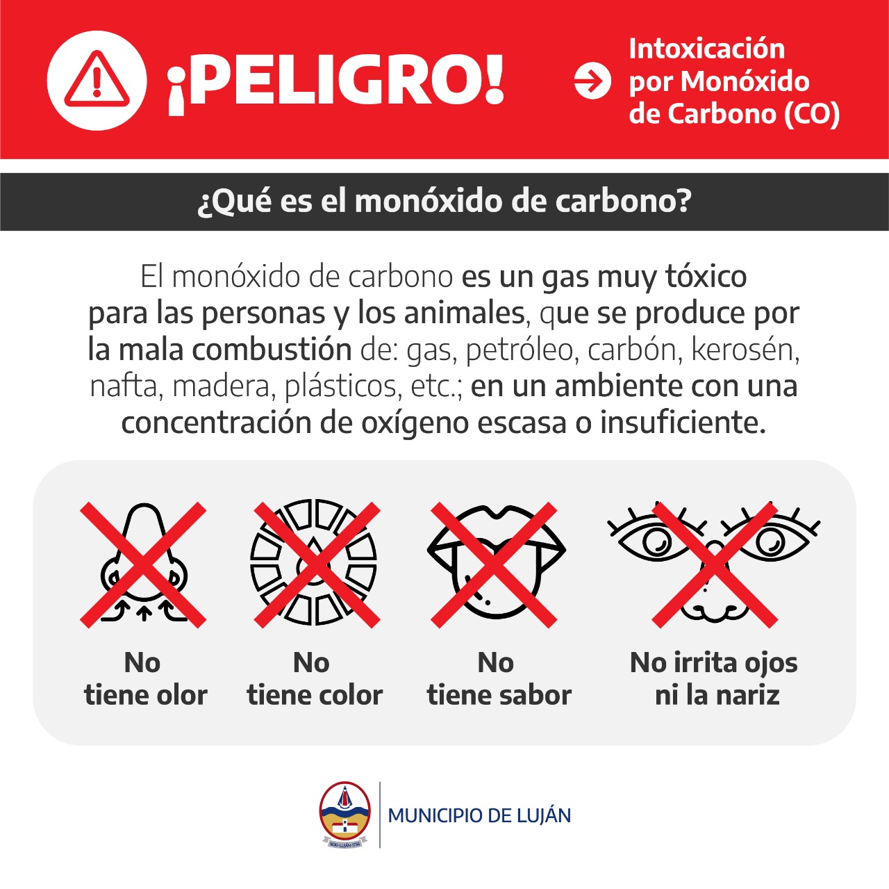 Salud Campa A Para Prevenir La Intoxicaci N Por Mon Xido De Carbono